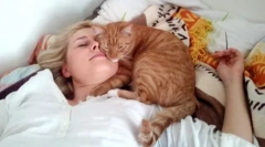 În pat cu o pisică: de ce animalele de companie nu pot dormi cu proprietarul